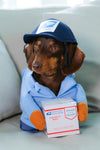 Pup US Mail Special Package Dog Costume - Blue/combo