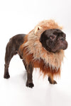 Pup Jungle King Lion Dog Costume - Brown