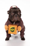 Pup UPS Out For Delivery Dog Costume - Brown