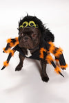 Pup Creepy Crawl Spider Dog Costume - Black/combo