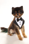 Pup Dapper Tuxedo Collar - Black/White